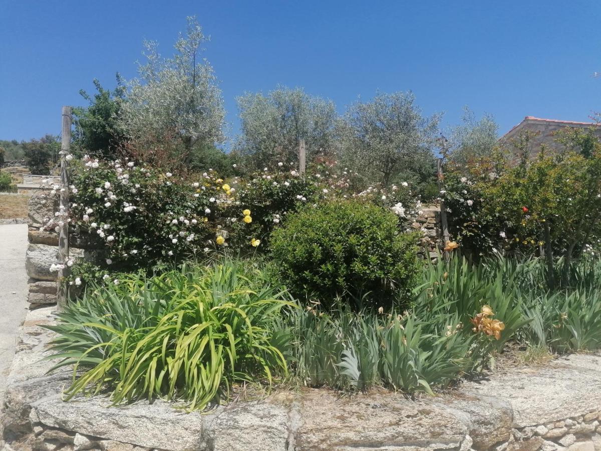 Rosas Da Granja - Casa De Campo Esterno foto