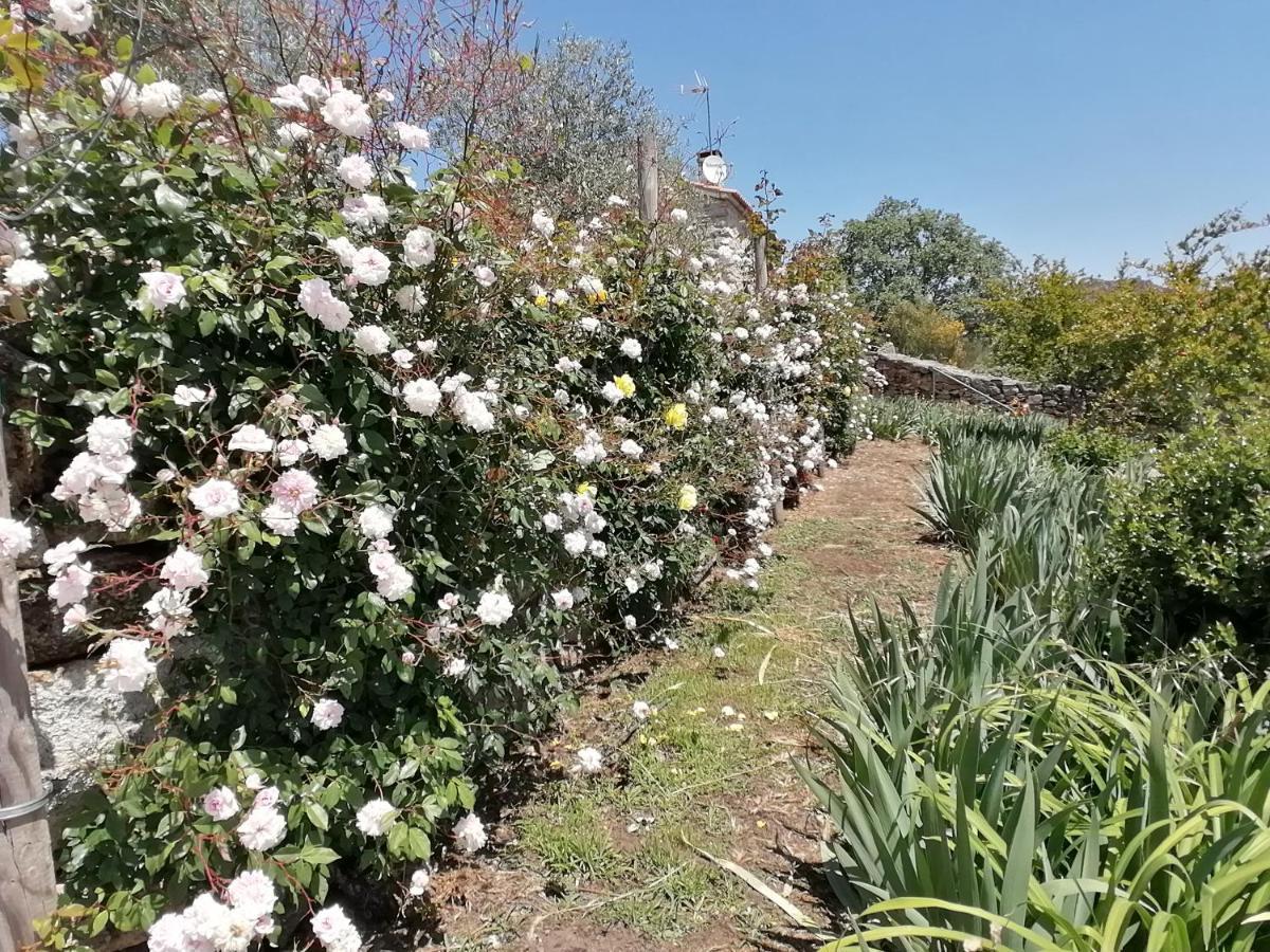 Rosas Da Granja - Casa De Campo Esterno foto